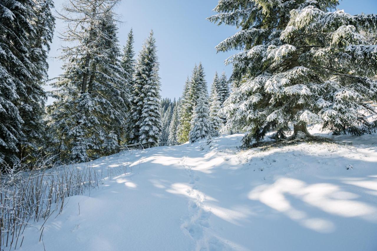 Cosy Lodge Pokljuka Goreljek Exteriör bild