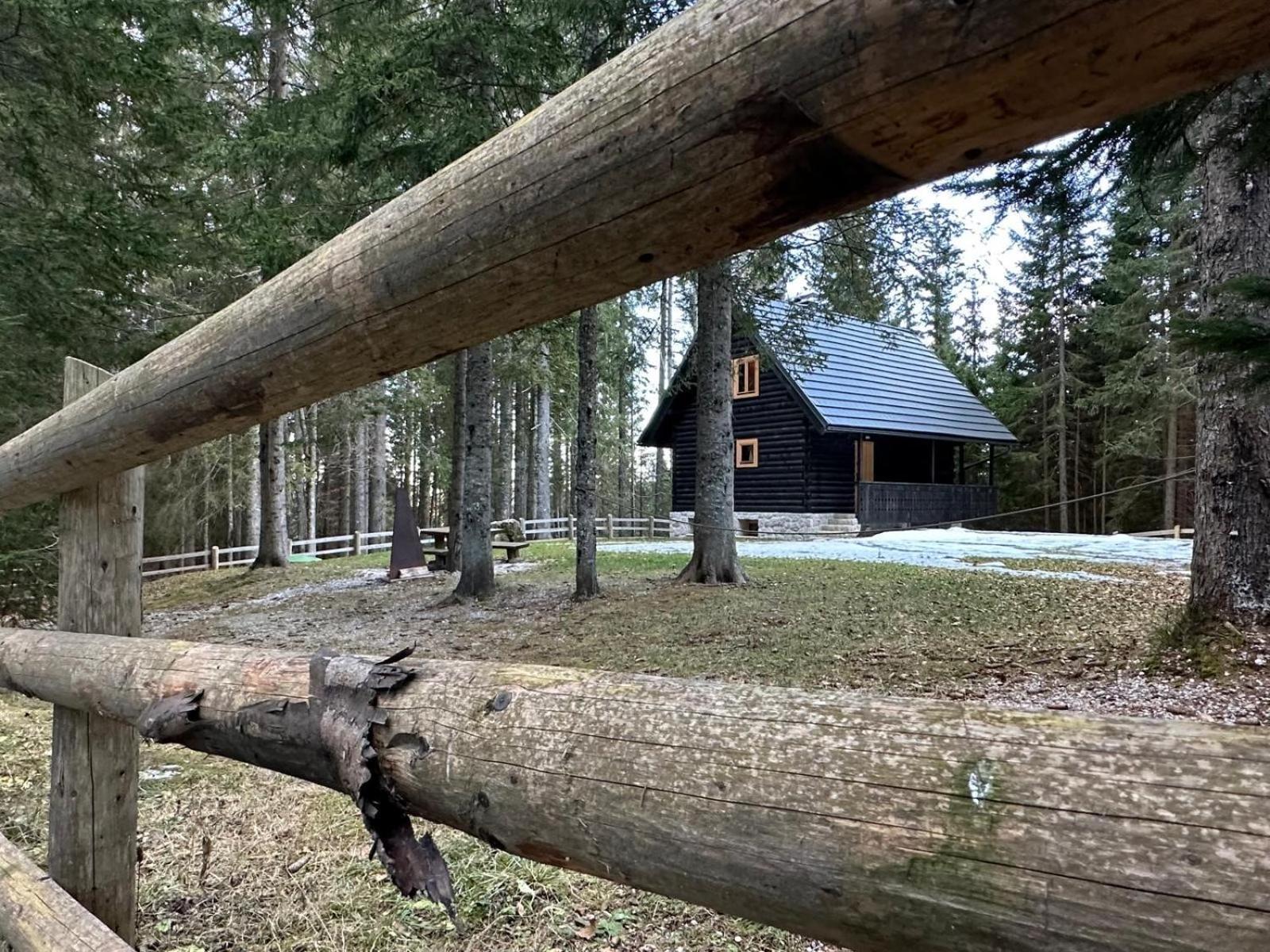 Cosy Lodge Pokljuka Goreljek Exteriör bild