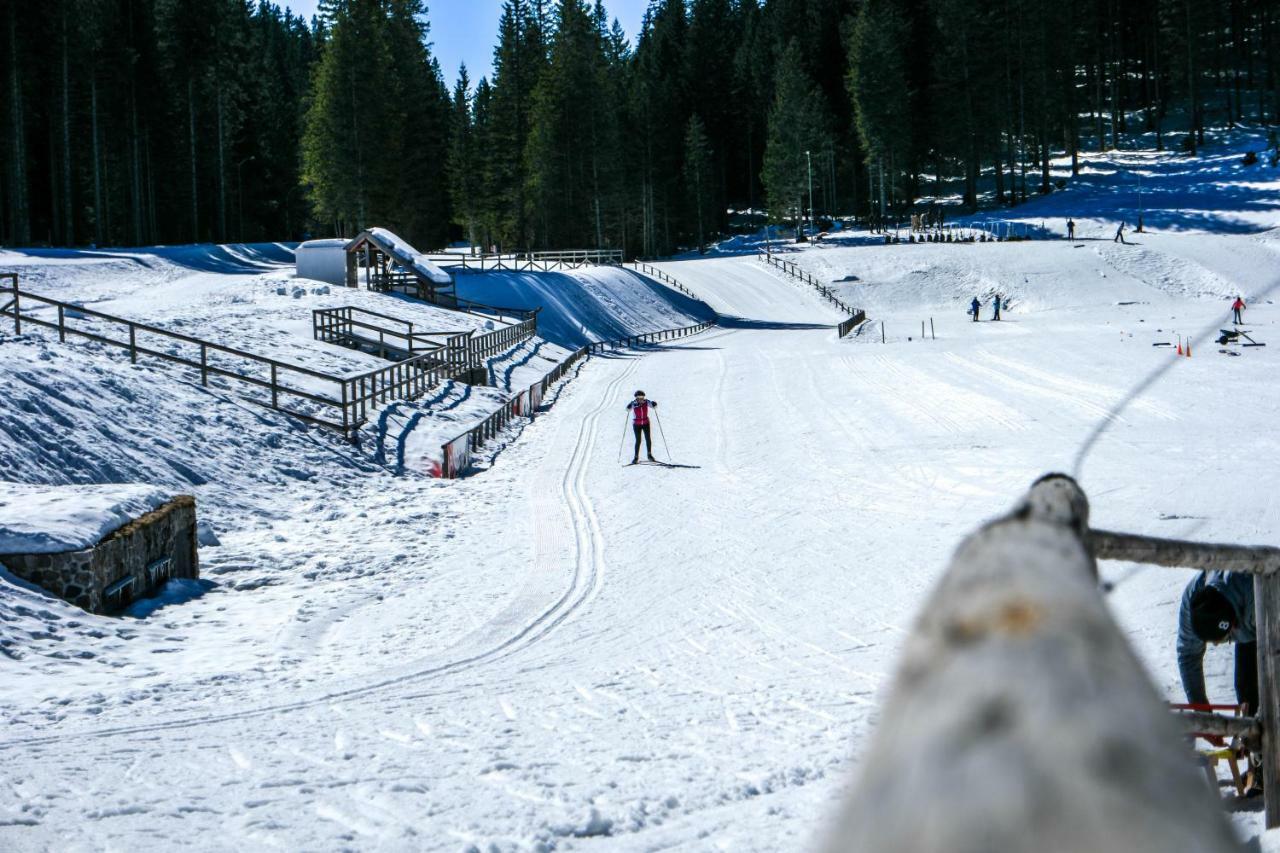 Cosy Lodge Pokljuka Goreljek Exteriör bild