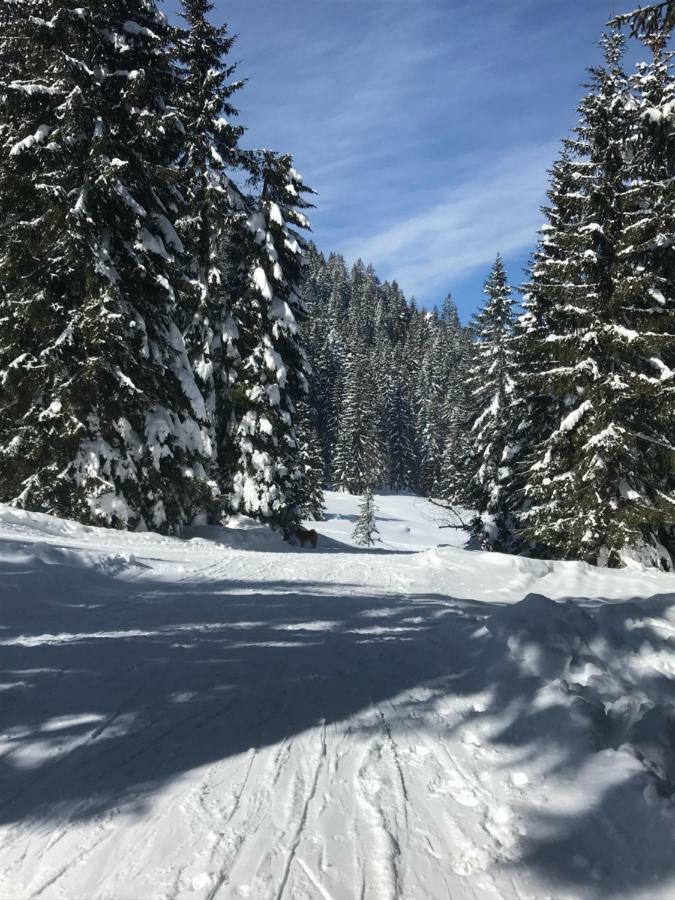 Cosy Lodge Pokljuka Goreljek Exteriör bild